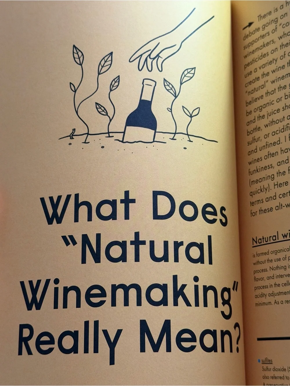 Wine Simple A Totally Approachable Guide From A World-Class Sommelier Aldo Sohm